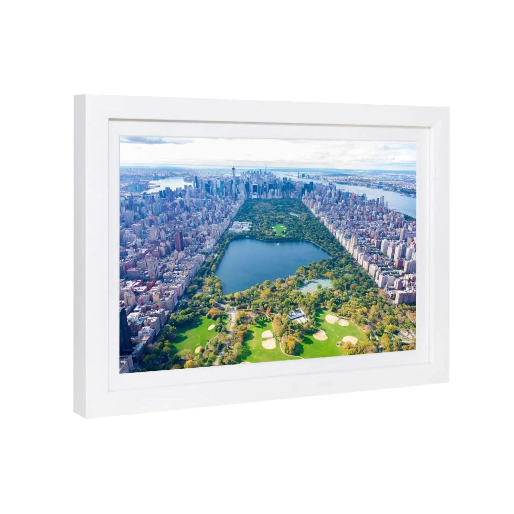 "Central Park" Mini Framed Print by Gray Malin